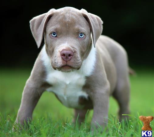 GIOVANNI Picture 3